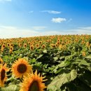 강주문화마을영농조합법인 이미지