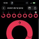세.젤.케