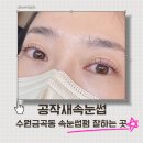 [뷰티]수원금곡동,5단지 속눈썹펌맛집/공작새속눈썹 영양펌 후기/자연스러운 컬링으로 또렷한눈매 완성!