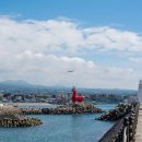 이호조아 이미지