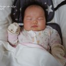 야구장(5월~9월) 이미지