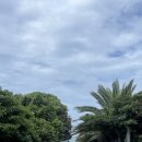 건강과 성 박물관 | [제주여행 2일차] 건강과성박물관 강추드리는 후기(볼거많음)