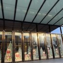 웰코멧 | 판교 현대백화점 11월 팝업 퍼마톨로지 방문, 구매, 사용 내돈내산 후기/팝업기간,이벤트