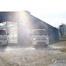 손대성축사 이미지