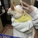 석관파출소 | [돌곶이] 한예종 샌드위치 샐러드 맛집 “윌빈” (Will bean)