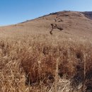 억새2축구장 이미지