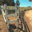 상상목장 이미지