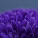 승일태권도장 이미지