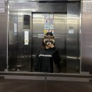 커트와파마(오전) 이미지