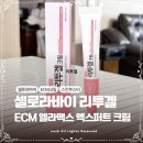 탄력크림 추천 피부 컨디션 떨어질 때 셀로라바이 리투겔 ECM 엘라맥스 엑스퍼트 크림