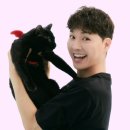 다홍헤어 이미지