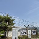 강화DMZ평화의길 테마노선 투어 후기｜화개정원부터 대룡시장까지