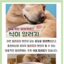 펫클럽 양정점 이미지