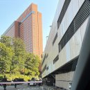 쇼트 | [중구] 서울 신라호텔 패스트리 부티크: 애플망고 쇼트케이크 후기(신라호텔 망고케이크)