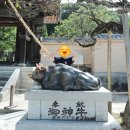서부오味가味거리 | 후쿠오카 근교 소도시 여행 하루에 다자이후 유후인 벳푸까지 버스투어 내돈내산 후기