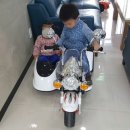 흰수염고래리조트 이미지