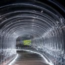 수영동 수영구재활용센터 앞 | 부산 실내가볼만한곳 부산현대미술관 전시 나의 집이 나 시네미디어 영화 이후 소장품섬 문소현 공원생활