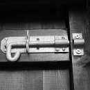 모니카 문 이미지