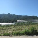 송천1리 이미지