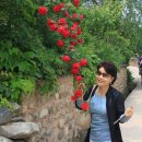 안동(부산) 이미지