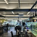 단짠아쿠아 평화점 이미지