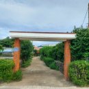 표선리-24 이미지