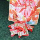 제주원유통 이미지