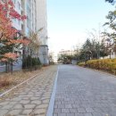 웅진 공인중개사사무소 이미지