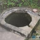 수지면 고정마을 네이버블로그