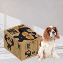 주식회사 에이엘네트웍스 이미지