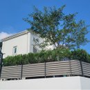 SK테크노파크부동산중개사무소 | [추천물건] 용인 지곡동 단독주택: 용인 반도체반도체 클러스터 인근