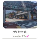 지리산한약방 | 봄날 산청 동의보감촌에 다녀온 후기