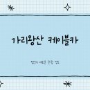 대한카 | 가리왕산케이블카 위치 요금 방문후기