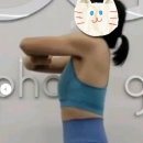 운동하는 코끼리 이미지