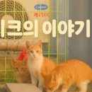 너와나,묘연 이미지