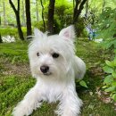 방배천로6길 3-4 이미지