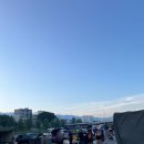 한담대박농수산직거래장터 | [ 원주 새벽시장 / 평원동 ] 원주 농업인 새벽시장 일요일 방문기 🌽 🥬