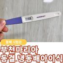 마리아어린이집 | [둘째임신준비] 부천마리아 동결배아 이식_시험관2차