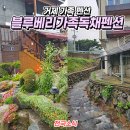 블루베리 가족 독채펜션 이미지