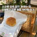 칠천요 | 익선동 소금빵 맛집 하루에 칠천개 파는 자연도소금빵 평일 웨이팅 후기