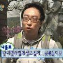 완연한 봄이 되었습니다