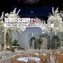 오페라웨딩홀 | 대전 웨딩홀 팔레드오페라 견적 후기 27년 트라아농 가르니에 투어