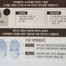 안경진정성 김포운양점 이미지