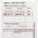 행정사사무소 나무 이미지