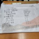 여름 필름화 #1