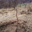 수종농장 이미지