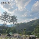 필리가 오토캠핑 | 영월 캠핑의 새로운 별, 필리가캠핑에서 힐링한 3일간의 캠핑 후기 🌲✨