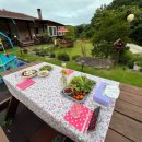 대관령안골황토펜션 이미지