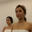 소나무파인트리(PINE TREE) 이미지