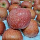 용산리 마을장터 | [강릉지역장터]정선임계 아침애사과농장